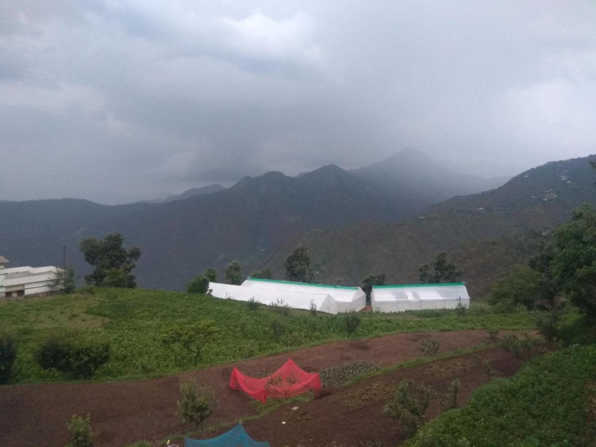Green View Resort New Tehri Exteriör bild