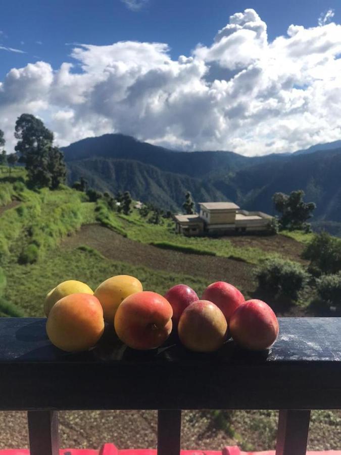 Green View Resort New Tehri Exteriör bild